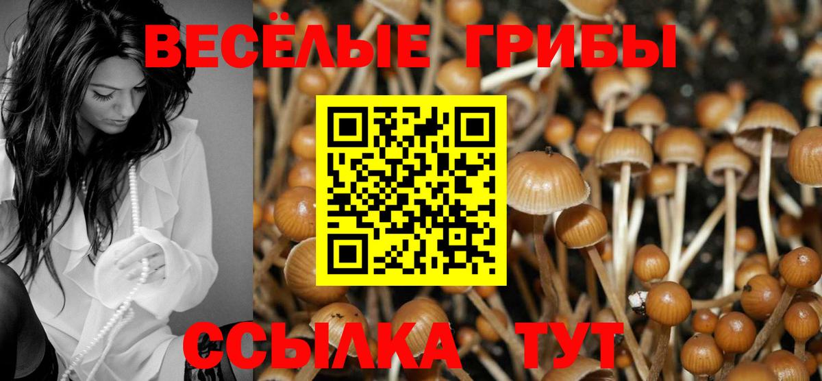Псилоцибиновые грибы ЛСД Лабытнанги